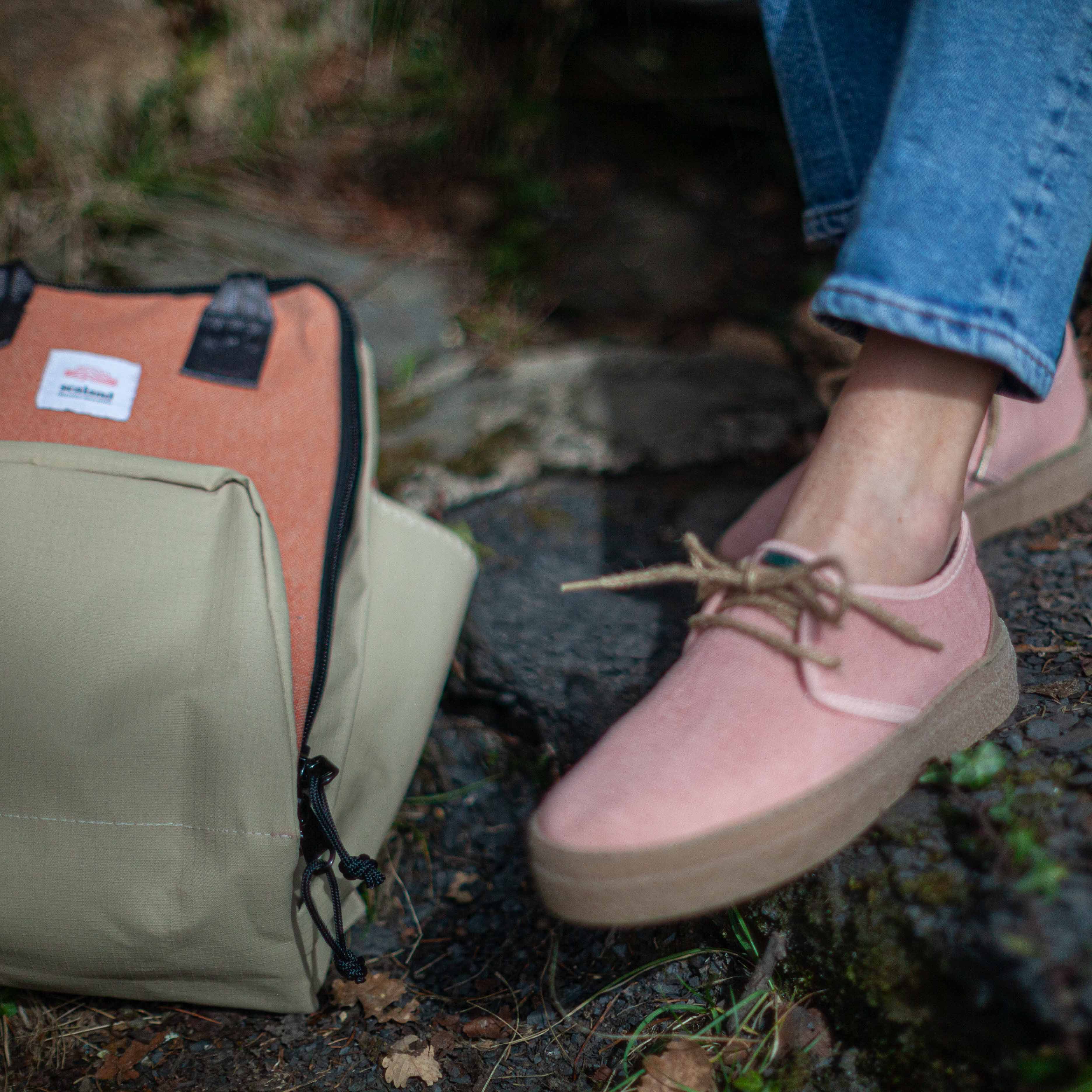 Goodall Rose - Image 3