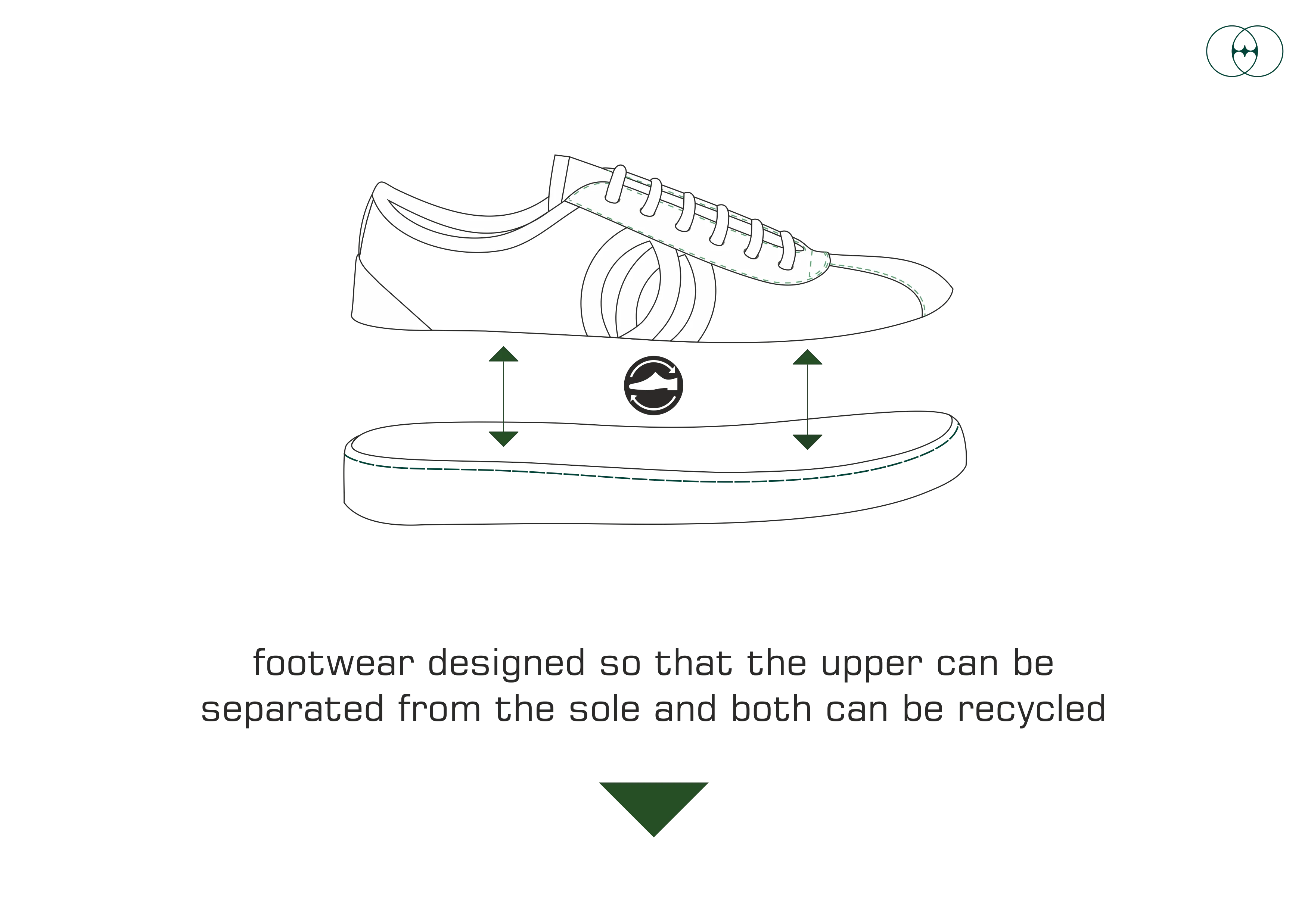 Diogenes Feuillage - Image 4